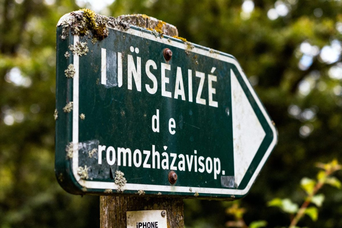 Rmozhazavizop